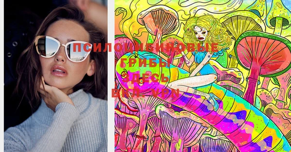 МДПВ Алексеевка