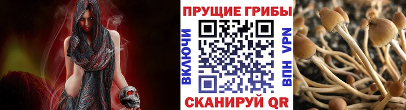 Галлюциногенные грибы ЛСД  где купить   Ардон 