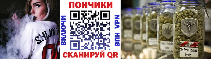 где купить наркоту  mega   Канабис семена  Ардон 